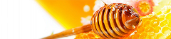 image of honey